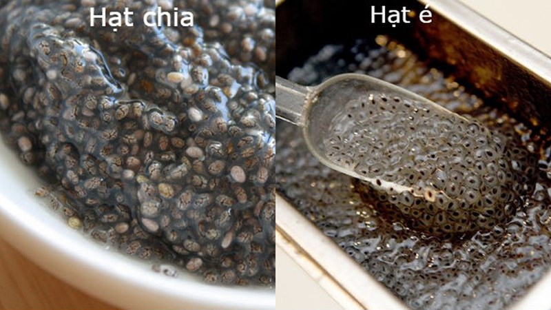 hạt chia