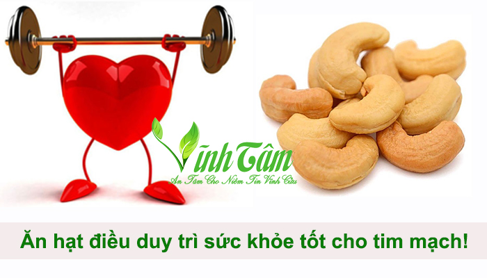 Hạt điều tốt cho sức khỏe của tim mạch