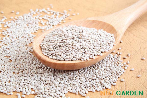 hạt chia trắng