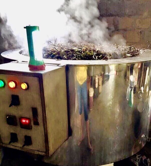 cao lá vằng bé xịn