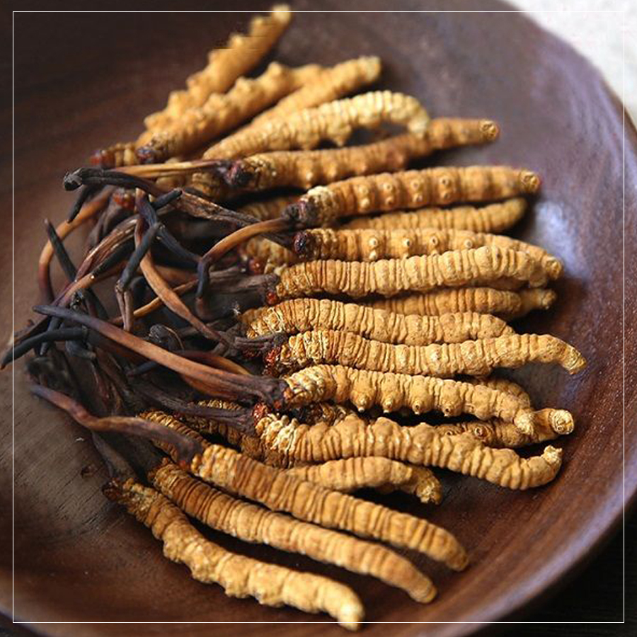 Cách nấu chè dưỡng nhan có đông trùng hạ thảo