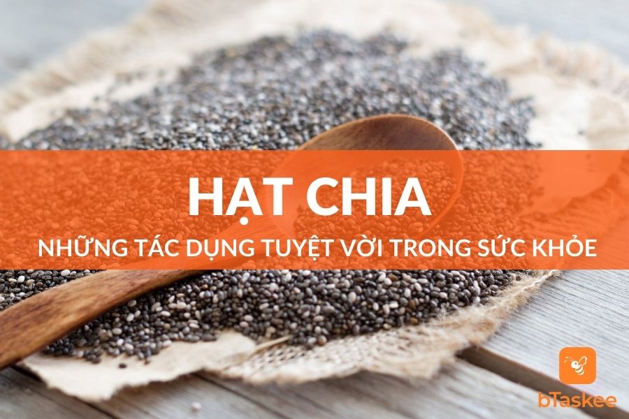 hạt chia là gì