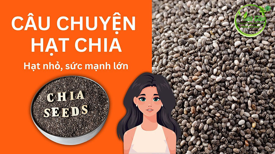 Tác dụng của hạt chia