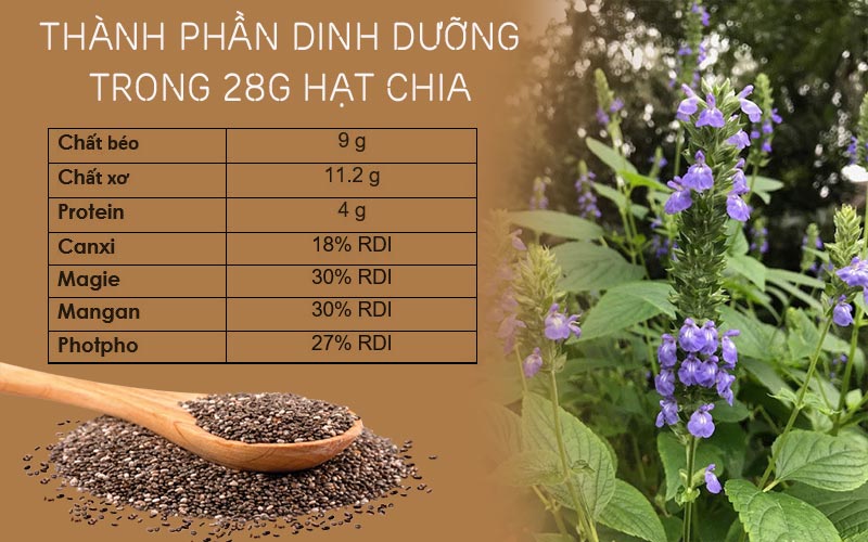 hạt chia