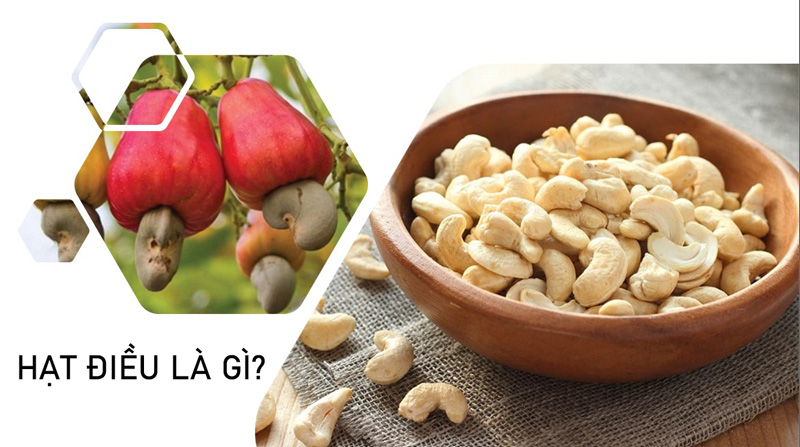 công dụng của hạt điều