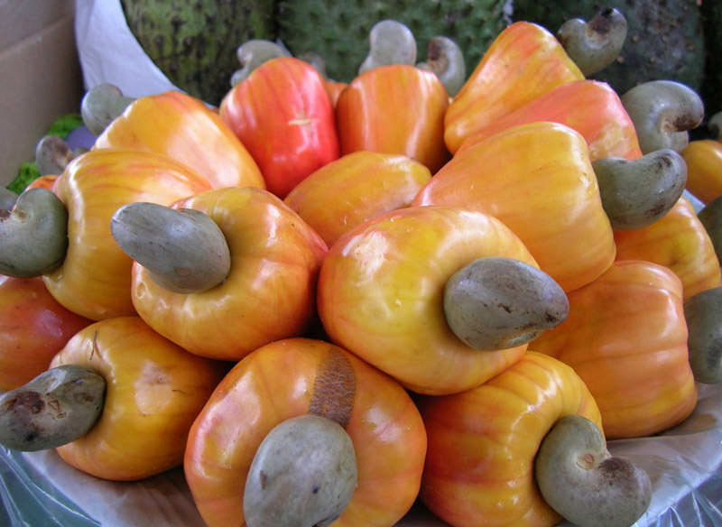 hạt điều rang muối bình phước