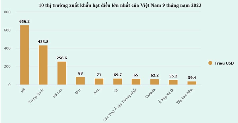 hạt điều việt nam
