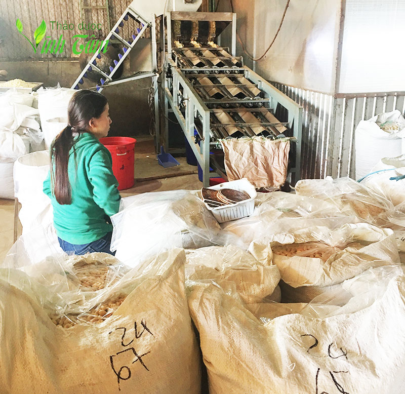 hạt điều rang muối vỏ lụa Vĩnh Tâm