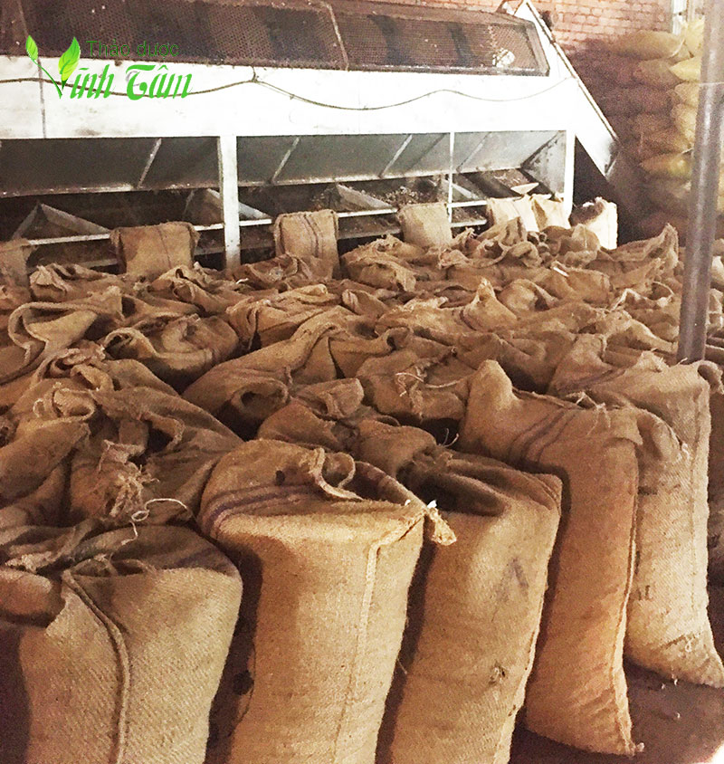 hạt điều rang muối Vĩnh Tâm