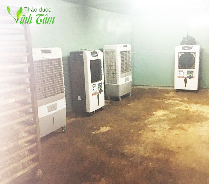 hạt điều rang muối Vĩnh Tâm