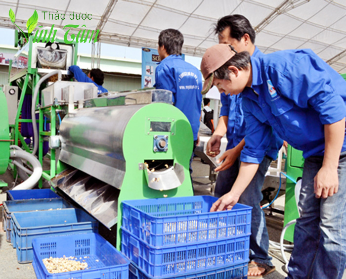 hạt điều rang muối Vĩnh Tâm