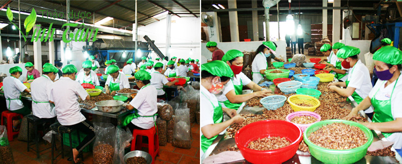 hạt điều rang muối vĩnh Tâm