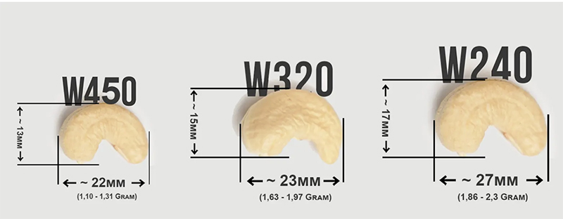 Phân Biệt Kích Cỡ Hạt Điều Việt Nam: hạt điều W240, hạt điều W320, hạt điều W450! - KIMMY FARM VIETNAM
