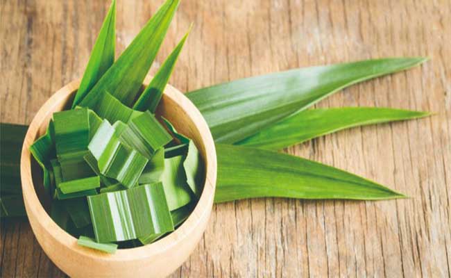 Cách nấu nè dưỡng nhan lá dứa và hạt sen