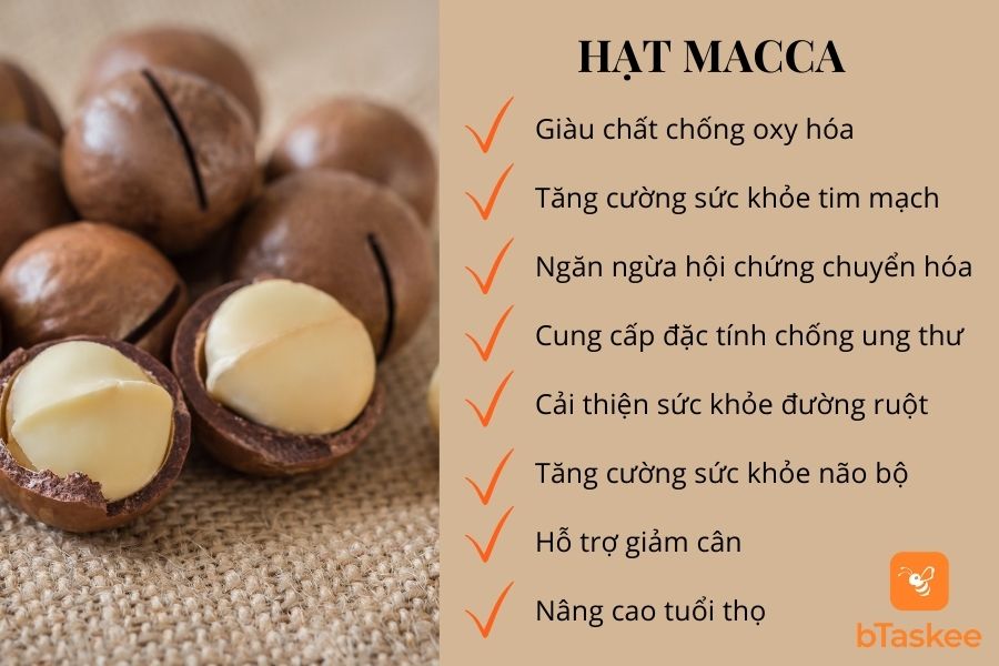 hạt macca