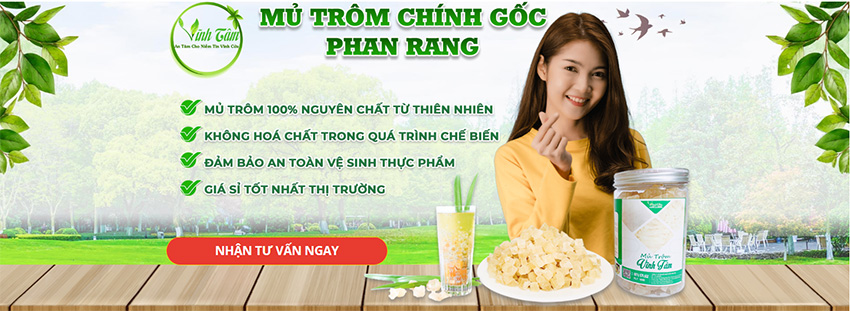 Mủ trôm 