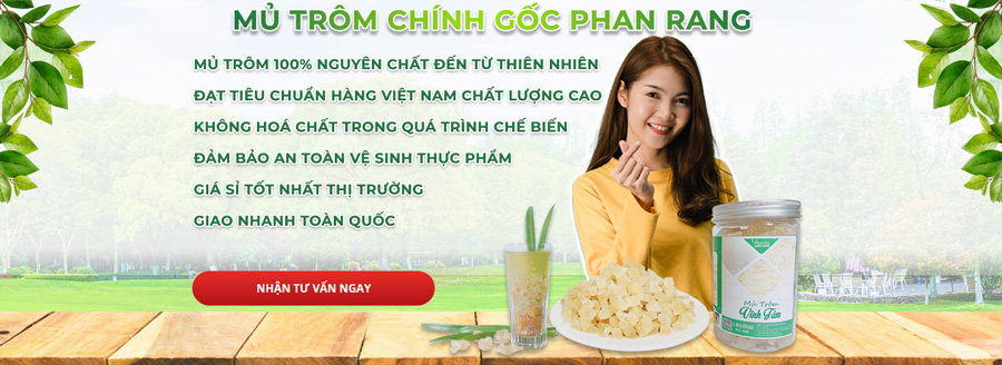 mủ trôm mua ở đâu chất lượng