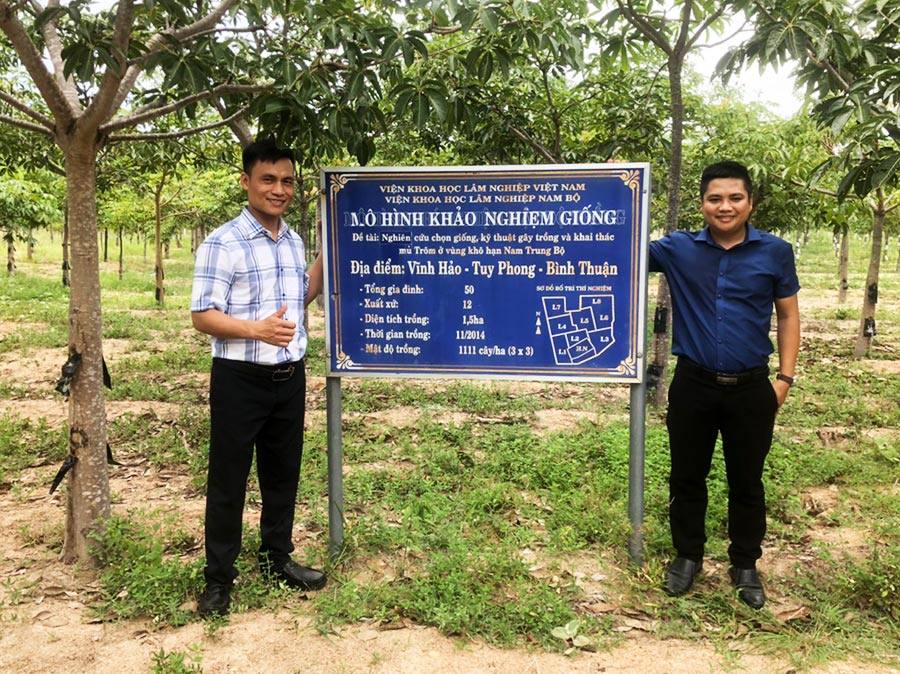 mủ trôm sạch vĩnh tâm