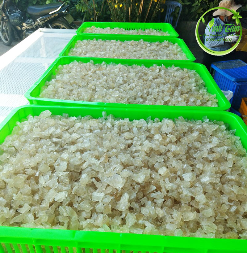 mủ trôm loại nào tốt nhất