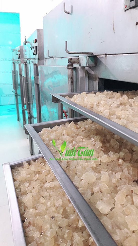 mủ trôm giá sỉ