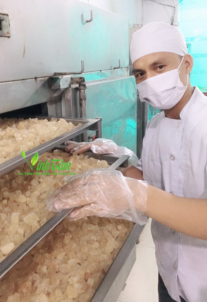 cách lấy mủ trôm