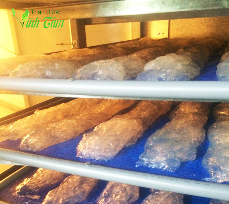 mủ trôm giá sỉ