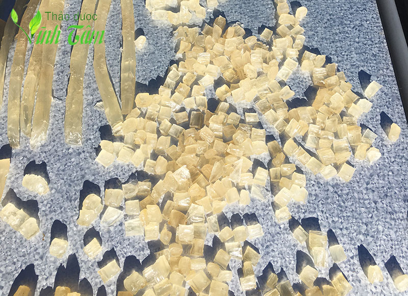 mủ trôm khô giá sỉ