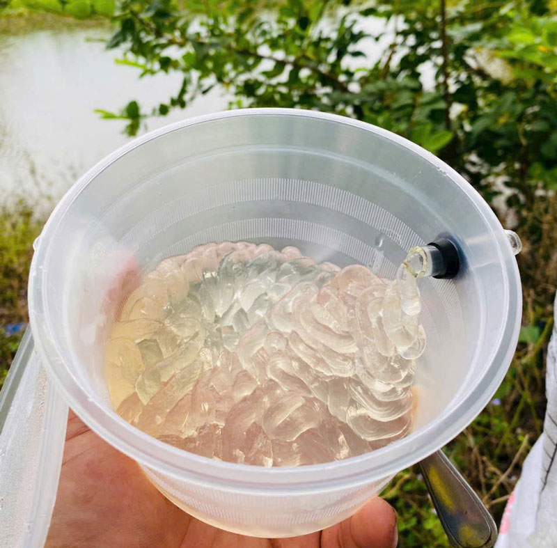 mủ trôm vĩnh tâm