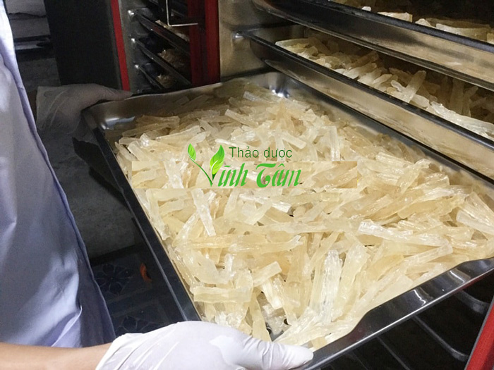 cách lấy mủ trôm