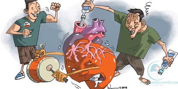 cao chè vằng tốt cho gan