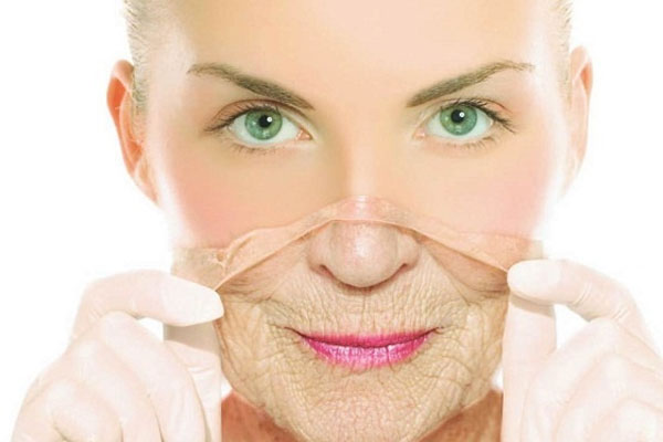 tác dung của hạt chia