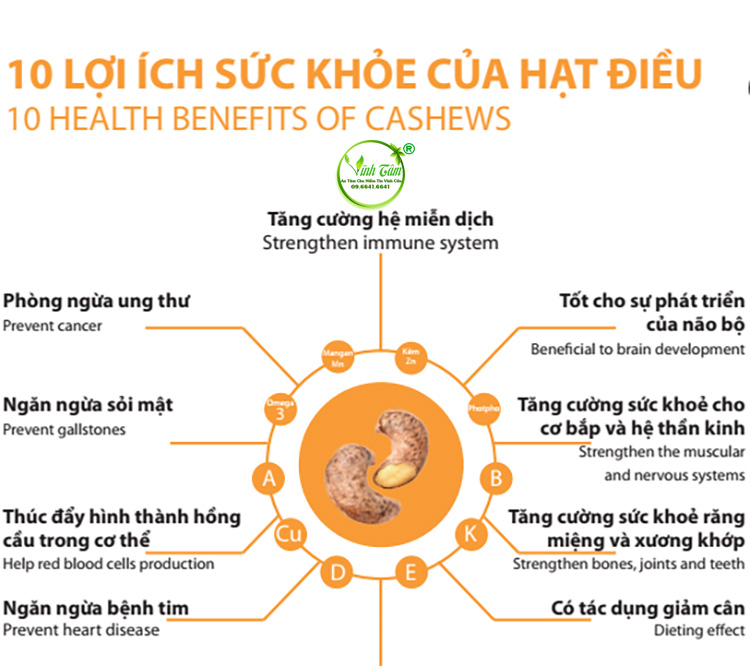 tác dụng của hạt điều rang muối
