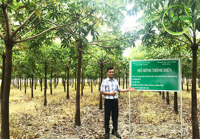 tác dụng của mủ trôm