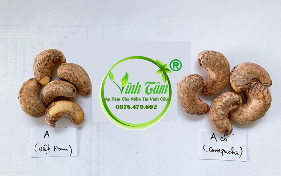 nhận biết hạt điều rang muối bình phước