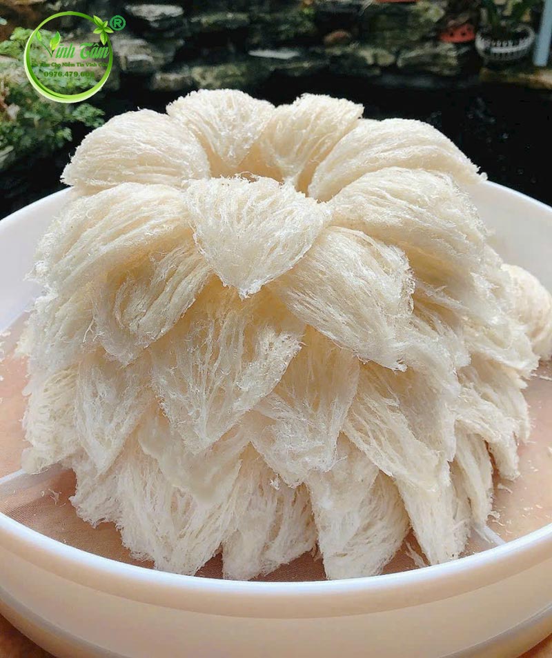 yến sào chất lượng