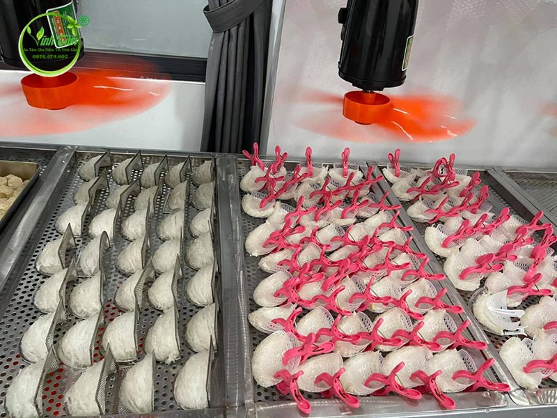 yến sào nguyên chất