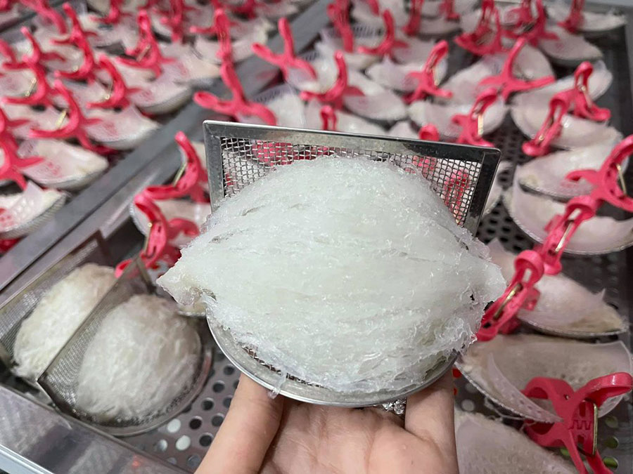 yến sào nguyên chất